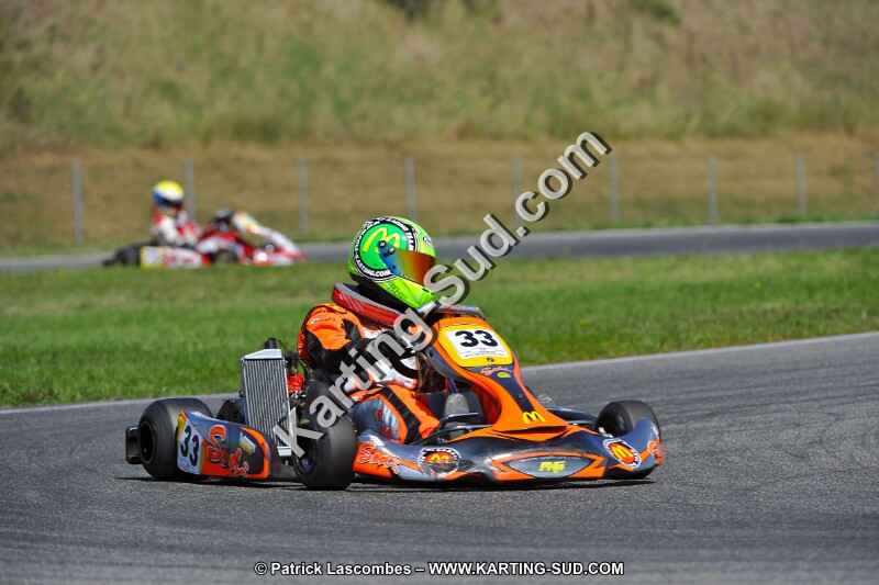 DSC_ (1392).jpg